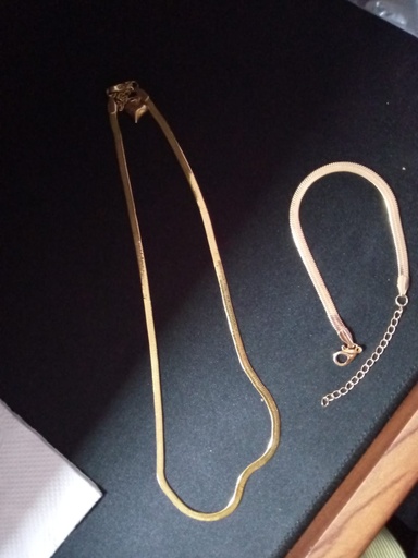 Snake Necklace + Bracelet 